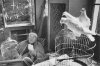 CARTIER-BRESSON_6.JPG