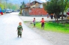 kestanelik_ozlemgirista_014.jpg