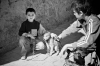 14_Memento-Boys_and_Dog-014.jpg