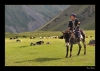 Kirgizistan-006.jpg