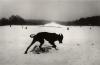 KOUDELKA_HOUND.JPG