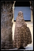 agac_kadin_urfa_1999.jpg