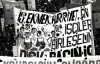 K.elitas01.jpg