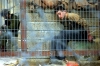 January_7-heb3-nayef.jpg