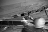 31-TB0272.jpg