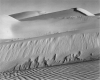 WESTON_WHITE_DUNES.JPG
