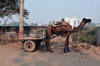 Hindistan_OmerGucuk_(14).JPG