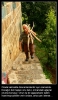 konak_008.jpg