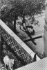 KERTESZ_WHITE_HORSE.JPG