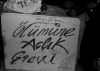 direnisinSimgesi_096.jpg