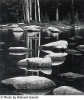 garrod-stepstones.jpe