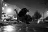 tatli_ruyalar_(20).jpg
