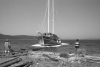 85-TB0556.jpg