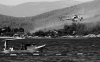 kivilcim_(36).jpg