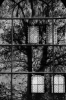 22_Memento-Branches_and_Windows-022.jpg