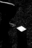 0030.jpg
